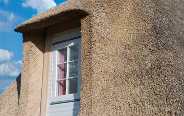 Broadshard thatch roof disadvantages